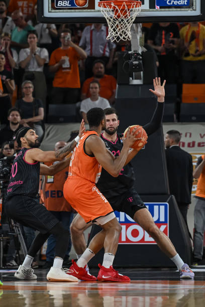 鹈鹕狮子大 鹈鹕狮子大